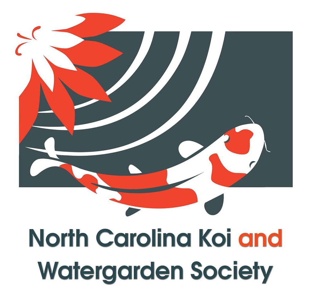 North Carolina Koi and Watergarden Society 